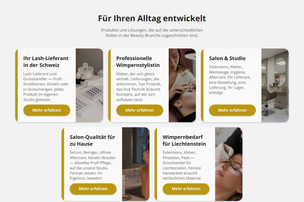 Übersicht der Lösungsseiten für fünf Zielgruppen auf onyx-lashes.ch